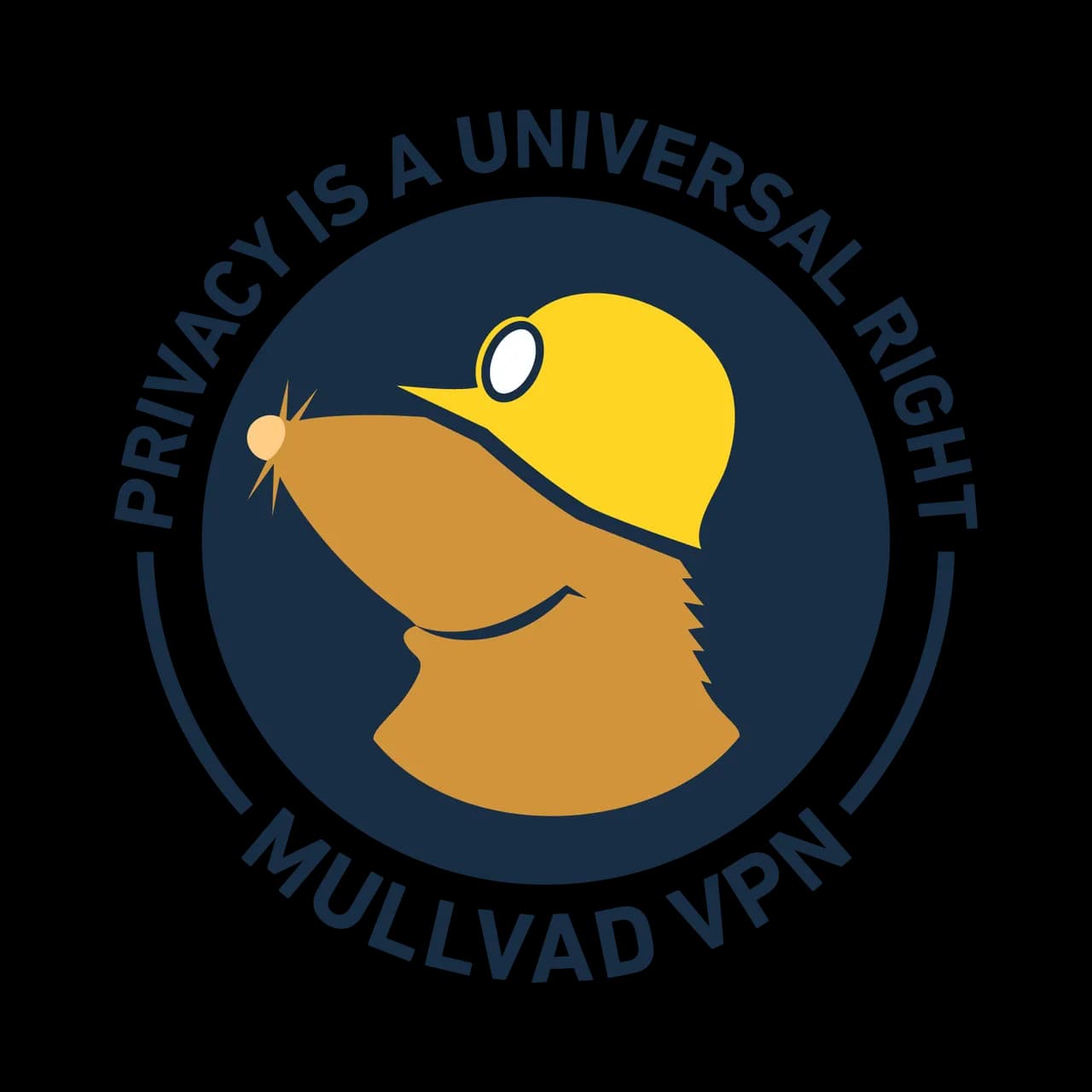 Mullvad is shutting down its public DNS servers to fund Quad9
