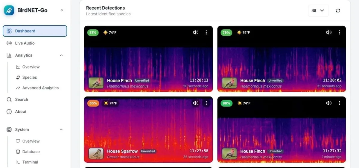 Turn your security cameras into a smart bird identifier